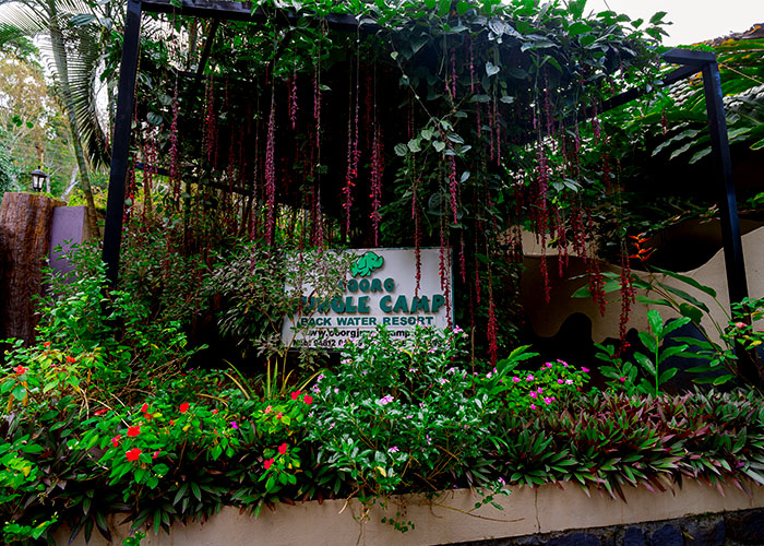 Lush green Coorg landscape