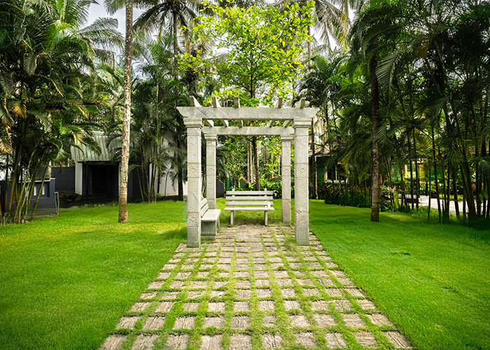 Lush green Coorg landscape