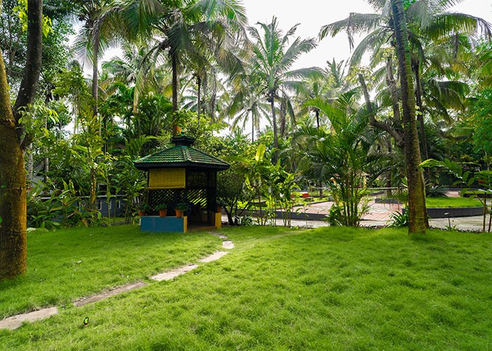 Premium room with view